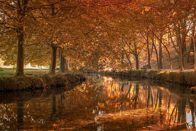 roadmap de startup en pantalla con hitos y tareas semanales